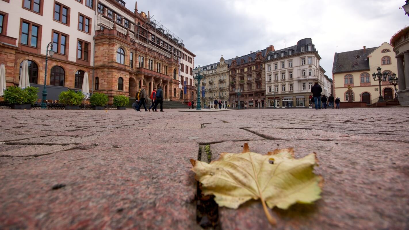 Jobs & Agenturen in Wiesbaden | JobSuite
